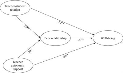 Autonomy support, peer relations, and teacher-student interactions: implications for psychological well-being in language learning